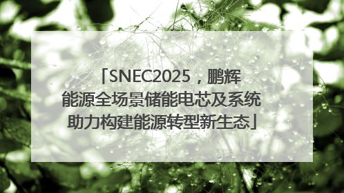 SNEC2025，鹏辉能源全场景储能电芯及系统助力构建能源转型新生态